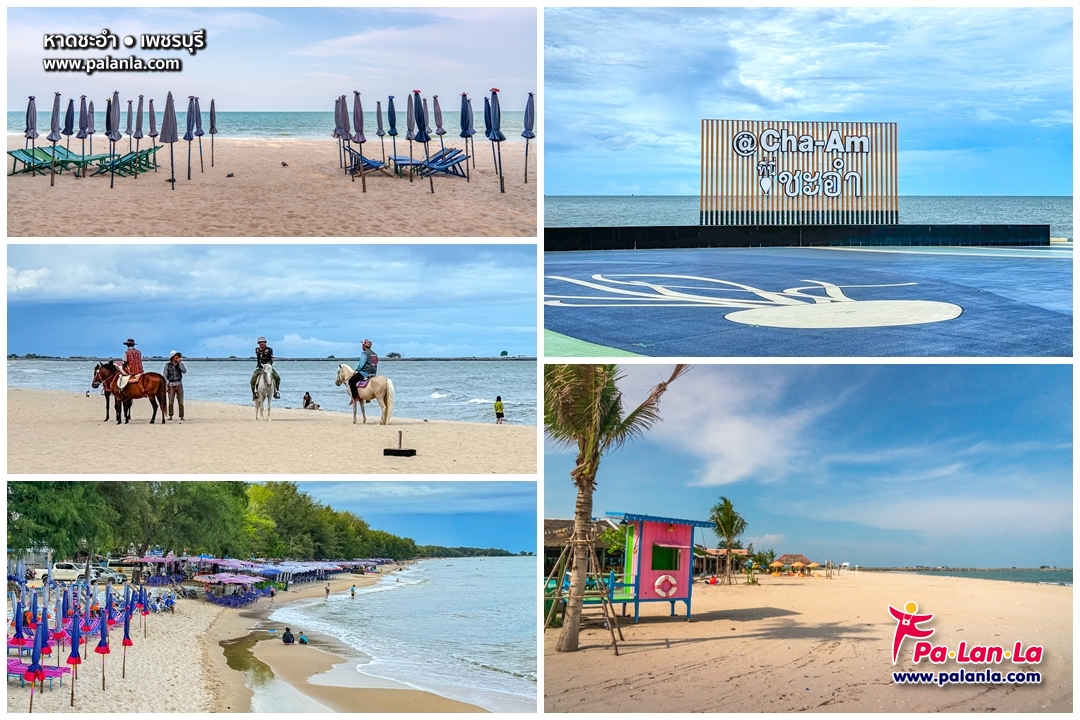 10 Beaches near Bangkok for One Day Trip